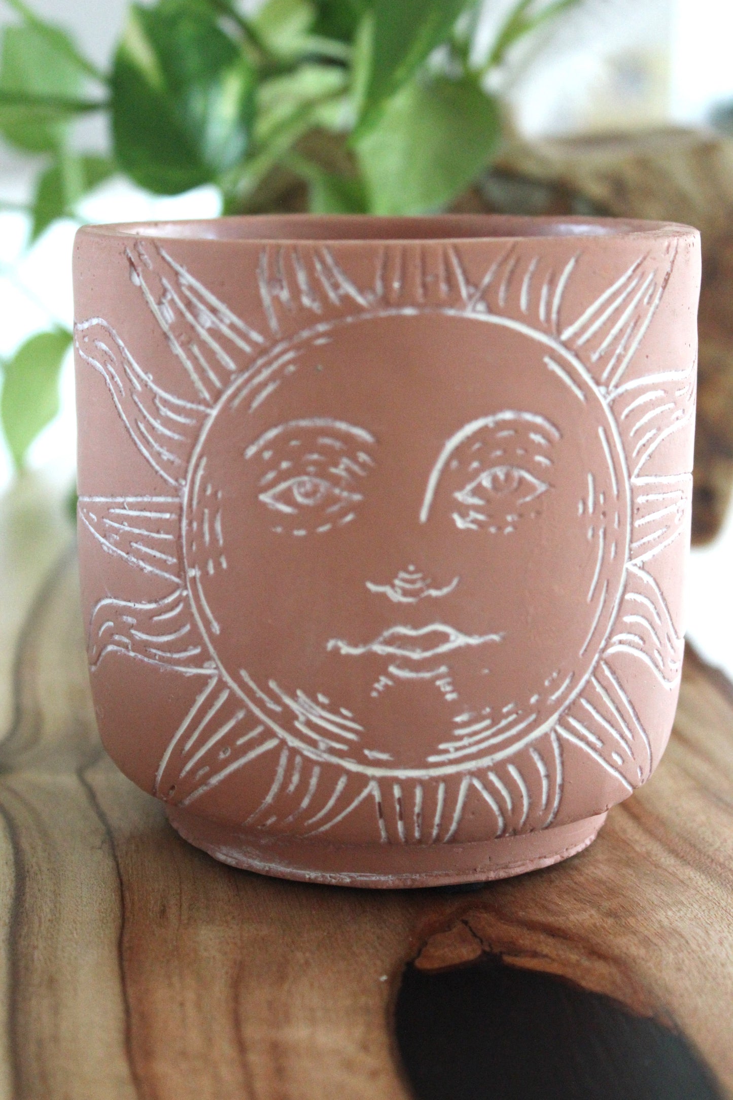 Sunny Pot