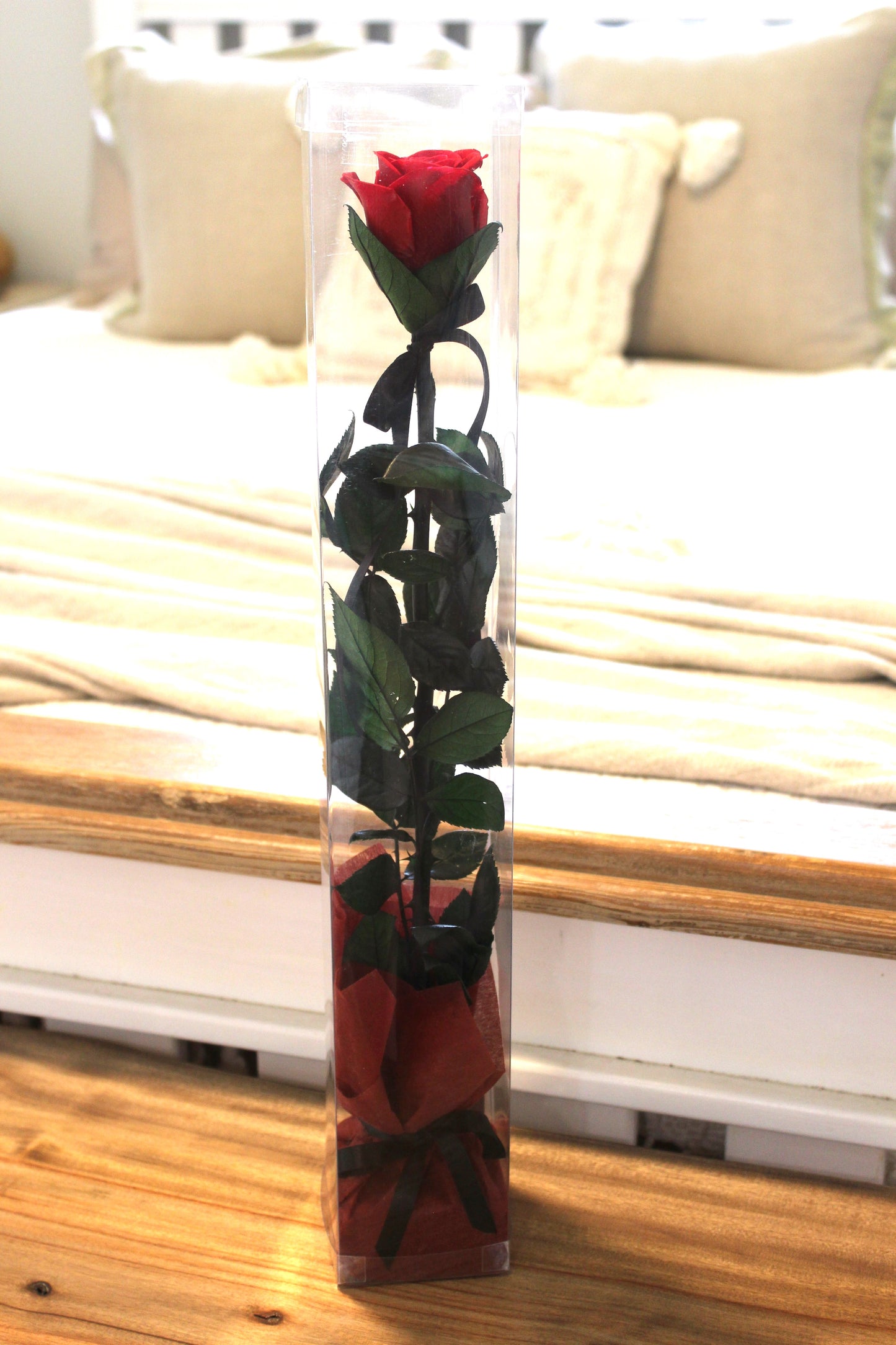 Single preserved rose