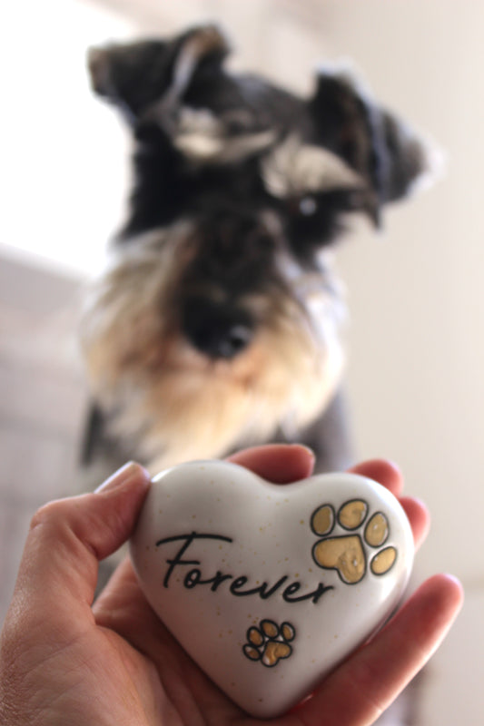 Forever Paws Heart